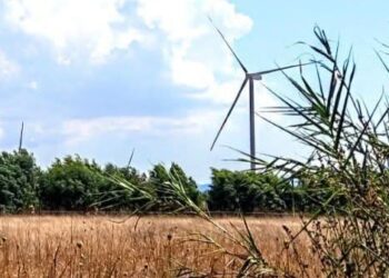 Rinnovabili, Sorgia: “Esternalizzazione da 1,6 milioni, troppe ombre sull’istruttoria regionale. La Giunta faccia chiarezza”