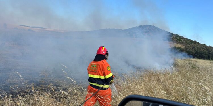 Campi di grano in fiamme a Settimo San Pietro: diversi ettari andati in fumo