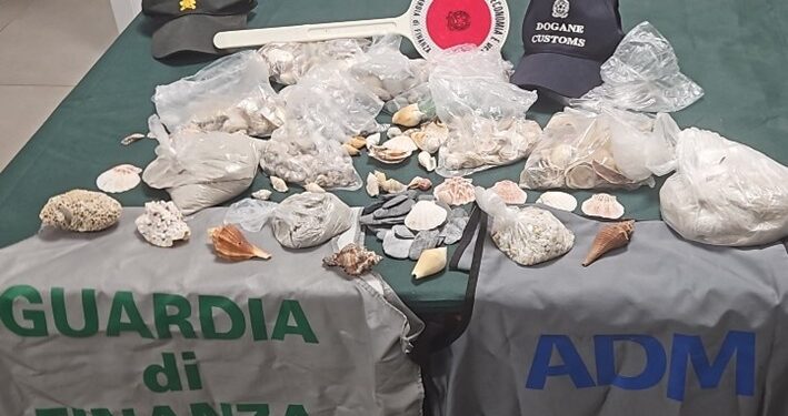 Alghero: sequestrati 6 kg tra sabbia, ciottoli e conchiglie a una turista ungherese
