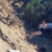 Inciviltà a Chia, ginepri secolari scambiati per ombrelloni: teli e attrezzature legati alle piante