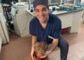 Il veterinario Gianmarco Piano a Radio Zampetta Sarda spiega cos’è la giardia