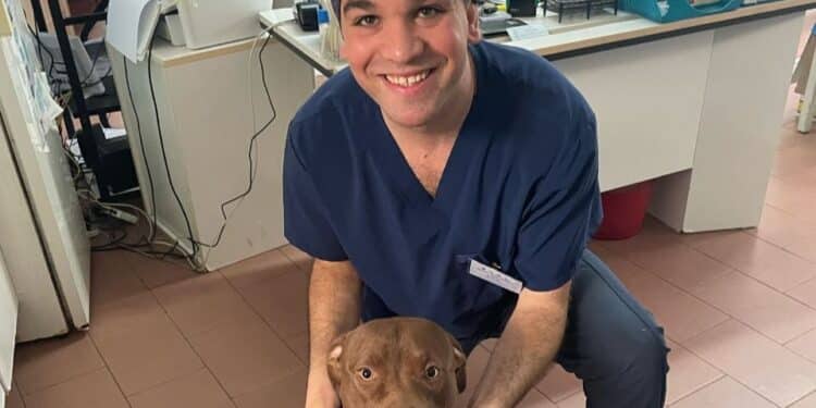Il veterinario Gianmarco Piano a Radio Zampetta Sarda spiega cos’è la giardia