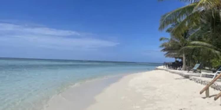 Dramma alle Maldive: 5 turisti italiani muoiono durante un’immersione