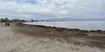 Poetto invaso dalla Posidonia, Zedda replica alle polemiche: “Ci penserà il maestrale, è la natura”