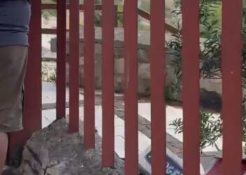 Anfiteatro Romano chiuso a Cagliari, la replica di Claudio Cugusi: “Ci sono i video con gli orari a disposizione”