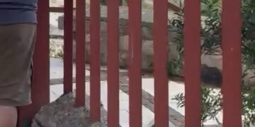 Anfiteatro Romano chiuso a Cagliari, la replica di Claudio Cugusi: “Ci sono i video con gli orari a disposizione”