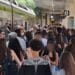 Cagliari, treni presi d’assalto per raggiungere la festa di Sant’Efisio: 10 convogli straordinari sulla linea Cagliari- San Gavino/Oristano