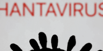 Hantavirus: 4 passeggeri passati da Roma sono sotto osservazione