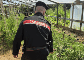 Maxi operazione antidroga sul territorio nazionale, arrestato anche un giovane del Cagliaritano