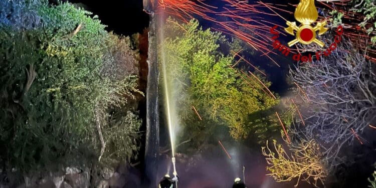 Primi incendi di stagione in Sardegna, a fuoco alberi e canneti