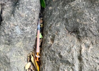 Cagliari, piazza Giovanni choc: “Siringhe usate fra gli alberi, un pericolo costante per famiglie e bambini”
