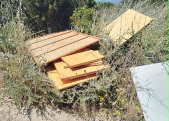 Calamosca trasformata in discarica: “Degrado inaccettabile, il Comune deve intervenire subito”