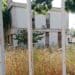 Cagliari, la scuola dell’infanzia di via Fermi chiusa e dimenticata: “Erba alta e luci accese giorno e notte”