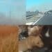 Inferno di fuoco tra Assemini e Elmas, le fiamme avanzano velocemente tra campi incolti e terreni