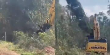 Uta, devastazione alle pendici di Monte Arcosu: l’oasi del cervo rasa al suolo per far spazio al maxi impianto fotovoltaico