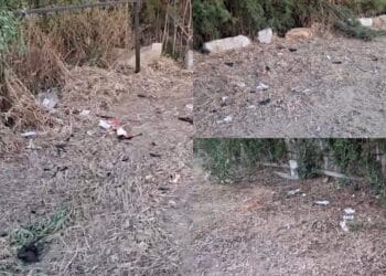 Villasimius, incivili in azione e erbacce a bordo strada deturpano il territorio