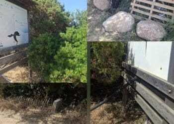 Domus de Maria: “Servizi costosi, assenza di bagni e assurdo paradosso del divieto di fumo” alle Dune di Campana