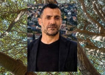 Il ramo crolla a Burcei e rischia di colpire una famiglia, il nuovo sindaco: “Serve un piano di manutenzione straordinaria”