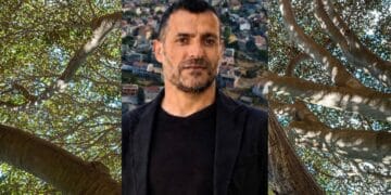 Il ramo crolla a Burcei e rischia di colpire una famiglia, il nuovo sindaco: “Serve un piano di manutenzione straordinaria”