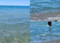 Cagliari, una strana schiuma segnalata al Poetto: “Situazione intollerabile”