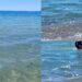 Cagliari, una strana schiuma segnalata al Poetto: “Situazione intollerabile”