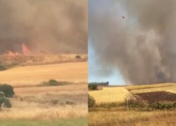 Campagna antincendi in Sardegna, le polemiche corrono assieme al fuoco