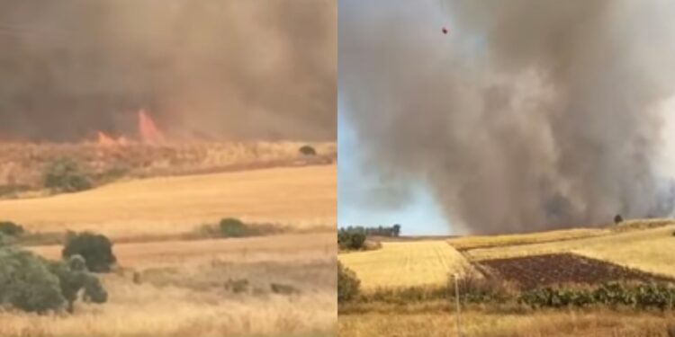 Campagna antincendi in Sardegna, le polemiche corrono assieme al fuoco