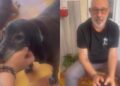 Capoterra, Gaetano Crocco e i trovatelli diventano testimonial contro l’abbandono degli animali