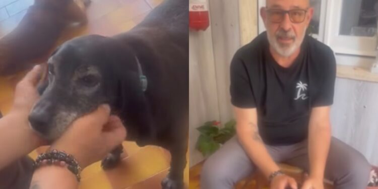 Capoterra, Gaetano Crocco e i trovatelli diventano testimonial contro l’abbandono degli animali
