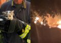 “Basta incendiare la Sardegna”: l’appello di Elia, un vigile del fuoco di Cagliari