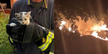 “Basta incendiare la Sardegna”: l’appello di Elia, un vigile del fuoco di Cagliari