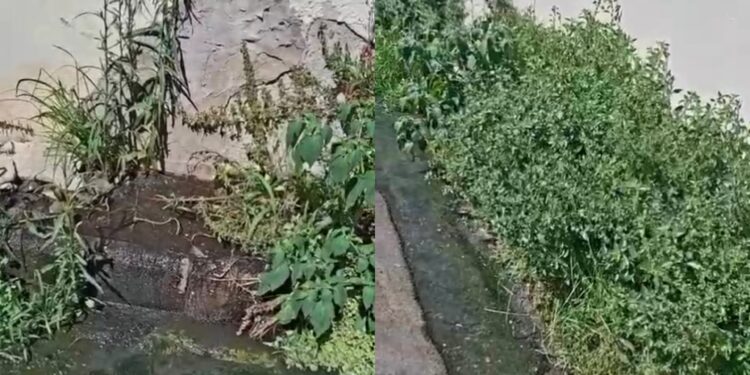 Capoterra, in via Giusti la fogna sgorga a cielo aperto