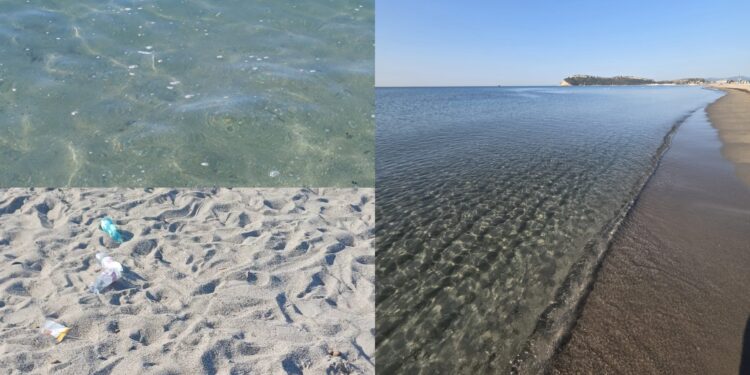 Poetto, la spiaggia dei centomila ridotta a una discarica a cielo aperto