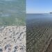 Poetto, la spiaggia dei centomila ridotta a una discarica a cielo aperto