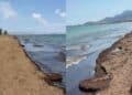 Capoterra, la posidonia allontana i bagnanti: “Evitano di entrare in acqua”