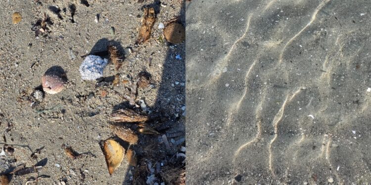 Cagliari, bagnanti in rivolta al Poetto tra schiuma e microplastiche: “È uno schifo”