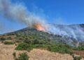 Brucia ancora la Sardegna: vasti incendi a Teulada, Macomer e Arzana, in azione canadair, elicotteri e decine di squadre