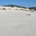 Teulada, dune di Is Arenas Biancas calpestate e violate da ombrelloni e asciugamani: scattano i controlli