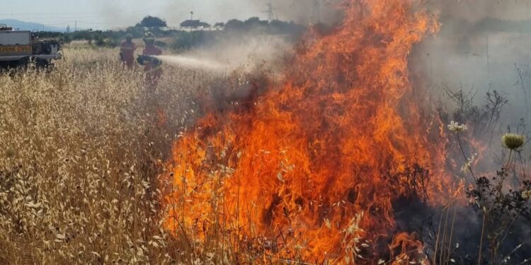 Monserrato, vasto incendio distrugge decine di ettari di sterpaglie: volontari impegnati per ore