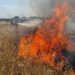 Monserrato, vasto incendio distrugge decine di ettari di sterpaglie: volontari impegnati per ore