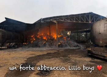Azienda agricola distrutta dalle fiamme, scatta la solidarietà a Gonnosfanadiga