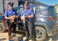 Golfo Aranci, 3 cuccioli chiusi in gabbia e lasciati sotto un ponte salvati dai carabinieri