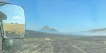 Pauli Arbarei, vasto incendio a ridosso del paese: in azione barracelli, Forestale e Vigili del Fuoco