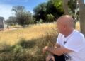 Cagliari, di fronte al palazzo della Regione una distesa di erbacce alte e secche