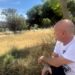 Cagliari, di fronte al palazzo della Regione una distesa di erbacce alte e secche