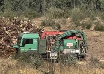Uta, via gli alberi dalle pendici del Monte Arcosu per il mega impianto fotovoltaico: approvato il progetto dal Consiglio dei Ministri
