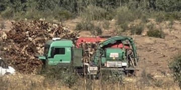 Uta, via gli alberi dalle pendici del Monte Arcosu per il mega impianto fotovoltaico: approvato il progetto dal Consiglio dei Ministri