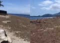 Capoterra, a Maramura e Torre degli Ulivi la distesa marrone della posidonia copre tutto: “I cittadini chiedono la pulizia”
