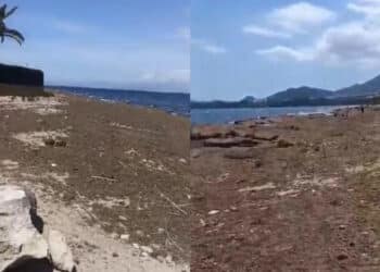 Capoterra, a Maramura e Torre degli Ulivi la distesa marrone della posidonia copre tutto: “I cittadini chiedono la pulizia”