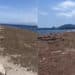 Capoterra, a Maramura e Torre degli Ulivi la distesa marrone della posidonia copre tutto: “I cittadini chiedono la pulizia”